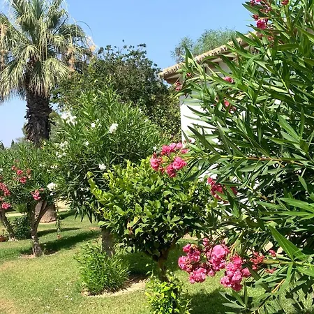 Lagovista45 Torrevieja