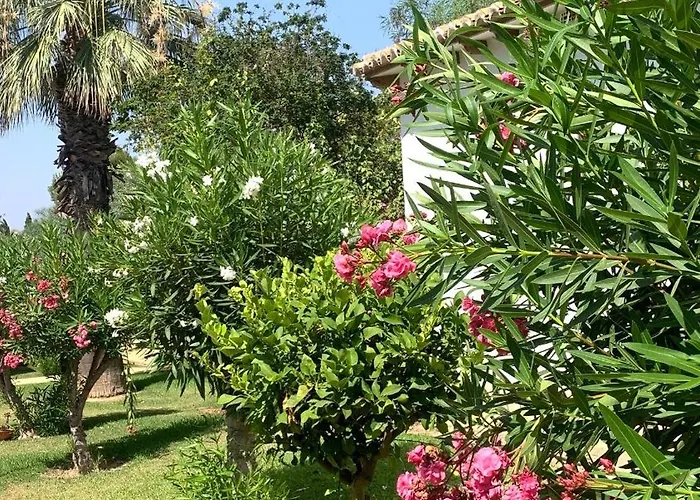 Lagovista45 トレビエハ