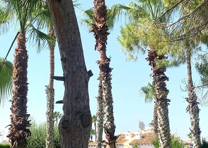 Tatil Evi Lagovista45